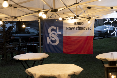 Sok_nov_lisk_strom-01