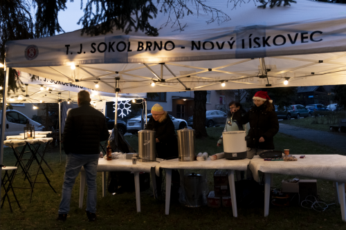 Sok_nov_lisk_strom-02