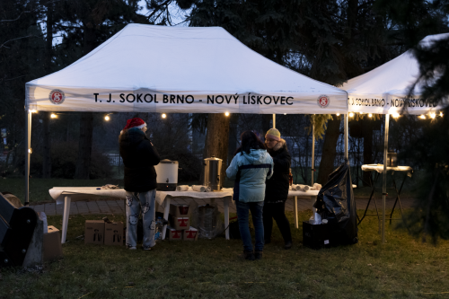 Sok_nov_lisk_strom-03