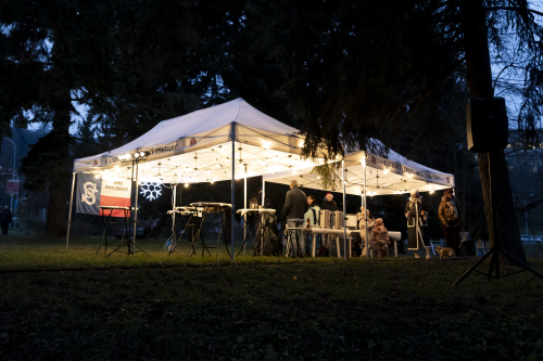 Sok_nov_lisk_strom-06