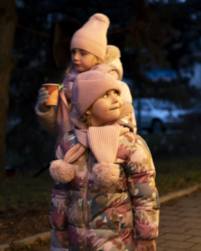 Sok_nov_lisk_strom-07