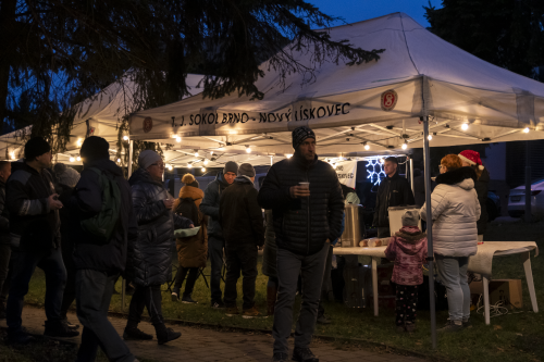 Sok_nov_lisk_strom-09