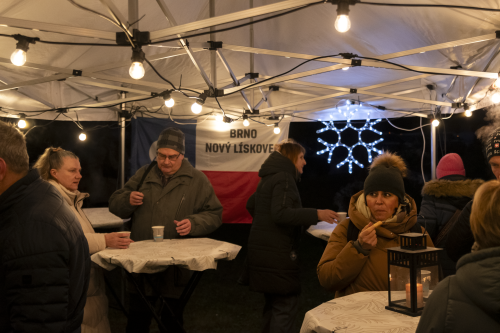 Sok_nov_lisk_strom-12