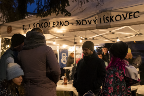 Sok_nov_lisk_strom-15