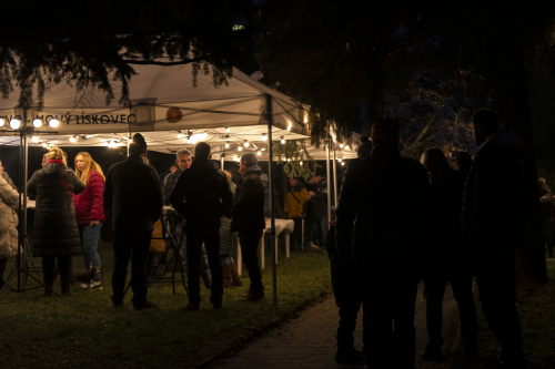 Sok_nov_lisk_strom-16