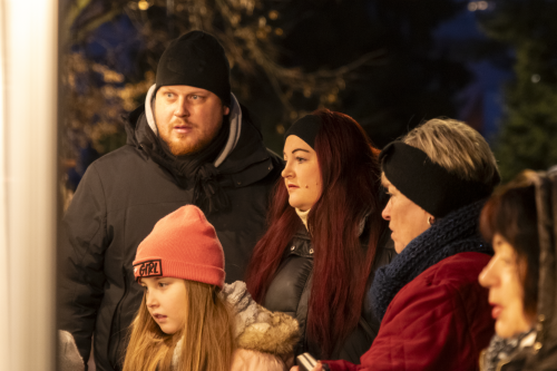 Sok_nov_lisk_strom-17