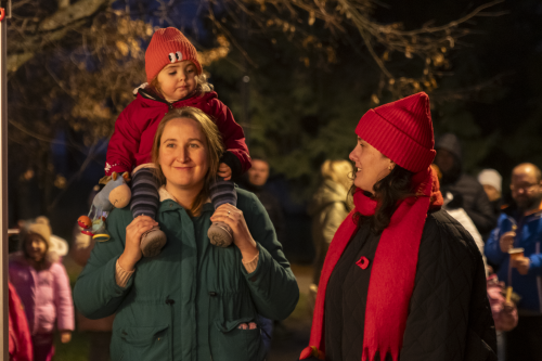 Sok_nov_lisk_strom-18