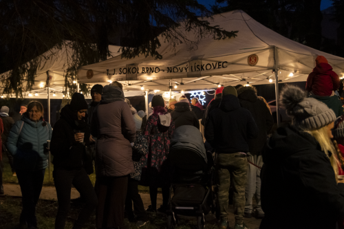 Sok_nov_lisk_strom-19