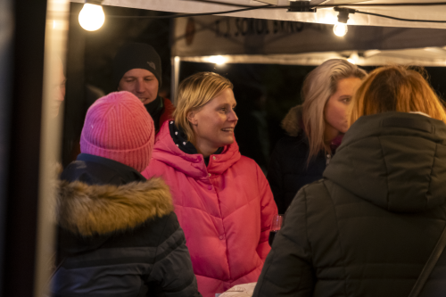 Sok_nov_lisk_strom-20