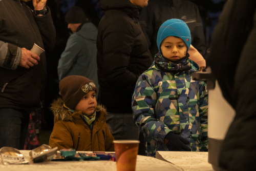 Sok_nov_lisk_strom-21