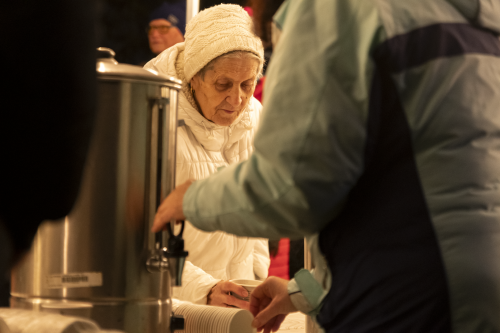 Sok_nov_lisk_strom-22