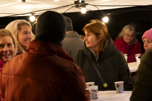 Sok_nov_lisk_strom-24