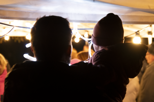 Sok_nov_lisk_strom-25