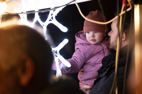 Sok_nov_lisk_strom-27