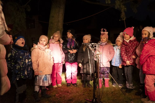 Sok_nov_lisk_strom-28