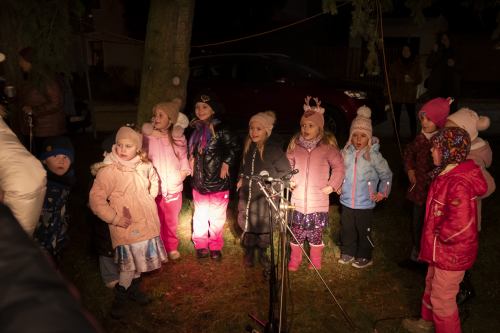 Sok_nov_lisk_strom-29