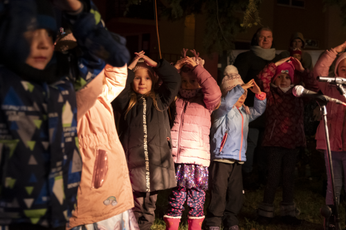 Sok_nov_lisk_strom-30