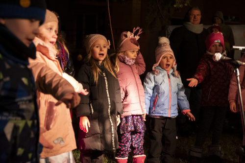 Sok_nov_lisk_strom-31