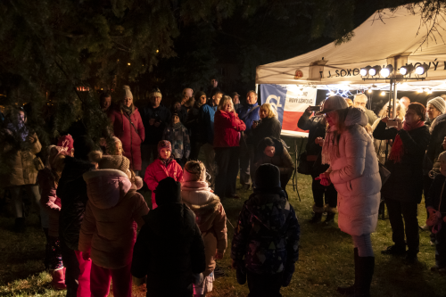 Sok_nov_lisk_strom-32