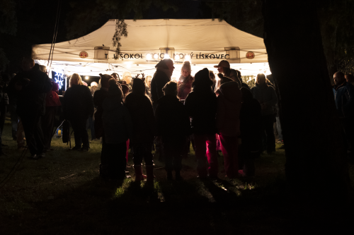 Sok_nov_lisk_strom-33