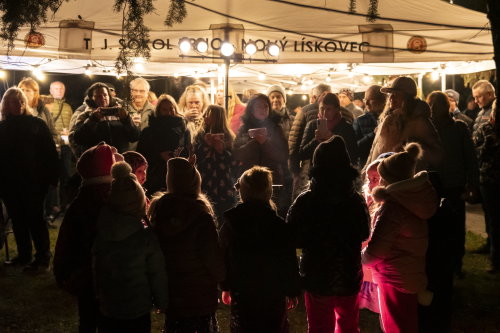 Sok_nov_lisk_strom-34