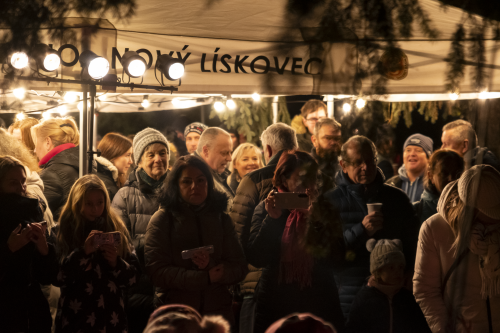 Sok_nov_lisk_strom-35