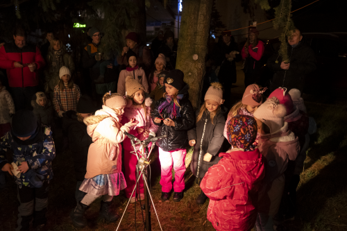 Sok_nov_lisk_strom-36