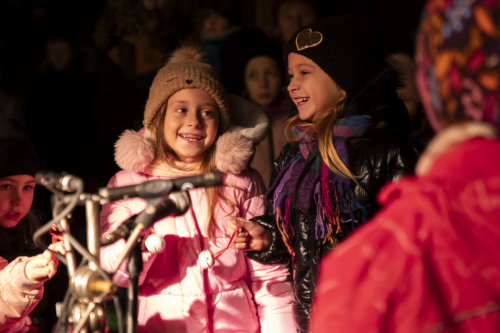 Sok_nov_lisk_strom-37