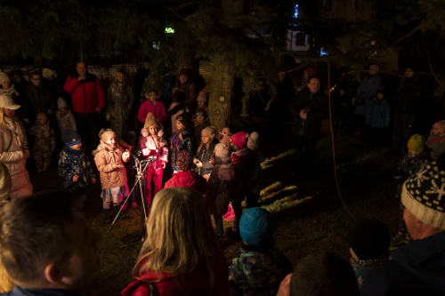 Sok_nov_lisk_strom-38