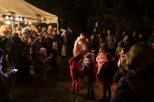 Sok_nov_lisk_strom-39