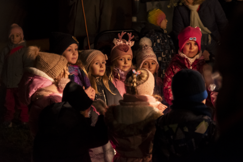 Sok_nov_lisk_strom-40