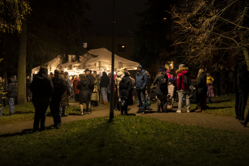 Sok_nov_lisk_strom-41