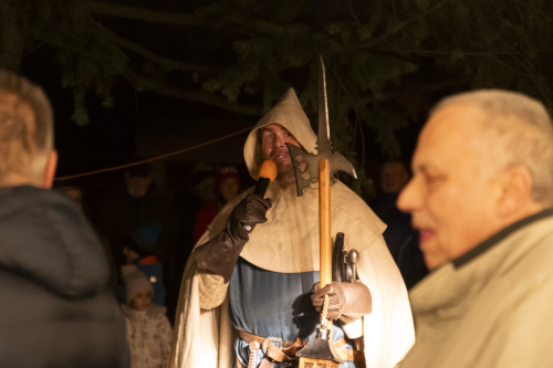 Sok_nov_lisk_strom-42