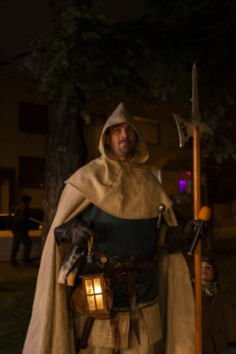 Sok_nov_lisk_strom-43