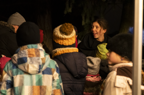 Sok_nov_lisk_strom-45