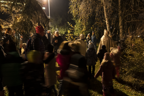 Sok_nov_lisk_strom-46