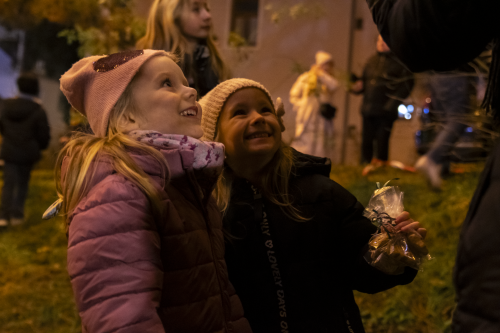 Sok_nov_lisk_strom-49