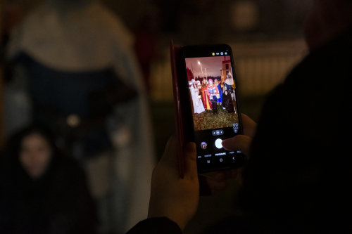 Sok_nov_lisk_strom-50