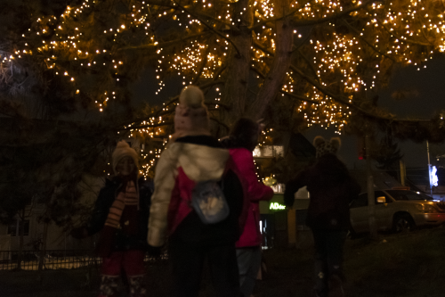 Sok_nov_lisk_strom-51