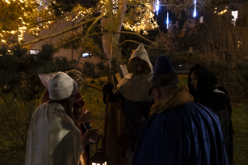 Sok_nov_lisk_strom-52