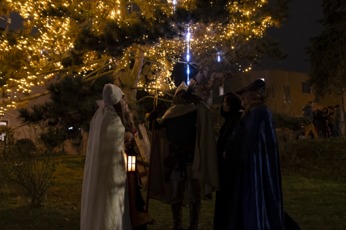 Sok_nov_lisk_strom-53