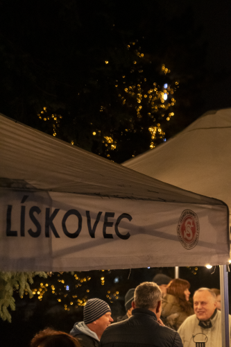 Sok_nov_lisk_strom-54