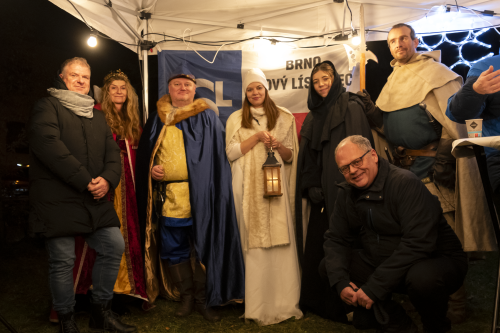 Sok_nov_lisk_strom-57